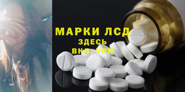 прущие грибы Белокуриха