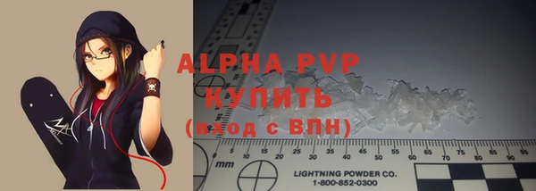 прущие грибы Белокуриха