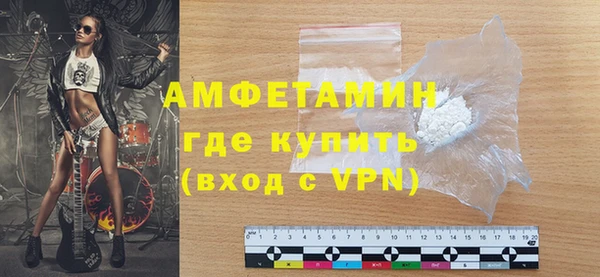 прущие грибы Белокуриха