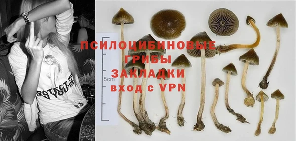 кокаин колумбия Богданович