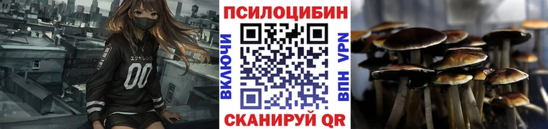 Галлюциногенные грибы Psilocybe  что такое   Оха 