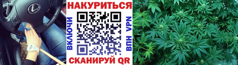 Канабис сатива  Оха 